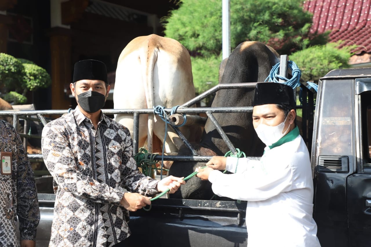 Bupati Tuban, Aditya Halindra Faridzky, secara simbolis menyerahkan hewan kurban ke perwakilan penerima.