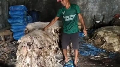 Pasca Idul Adha, pengepul kulit di Kota Pasuruan bisa kumpukkan 6 ton kulit hewan kurban.