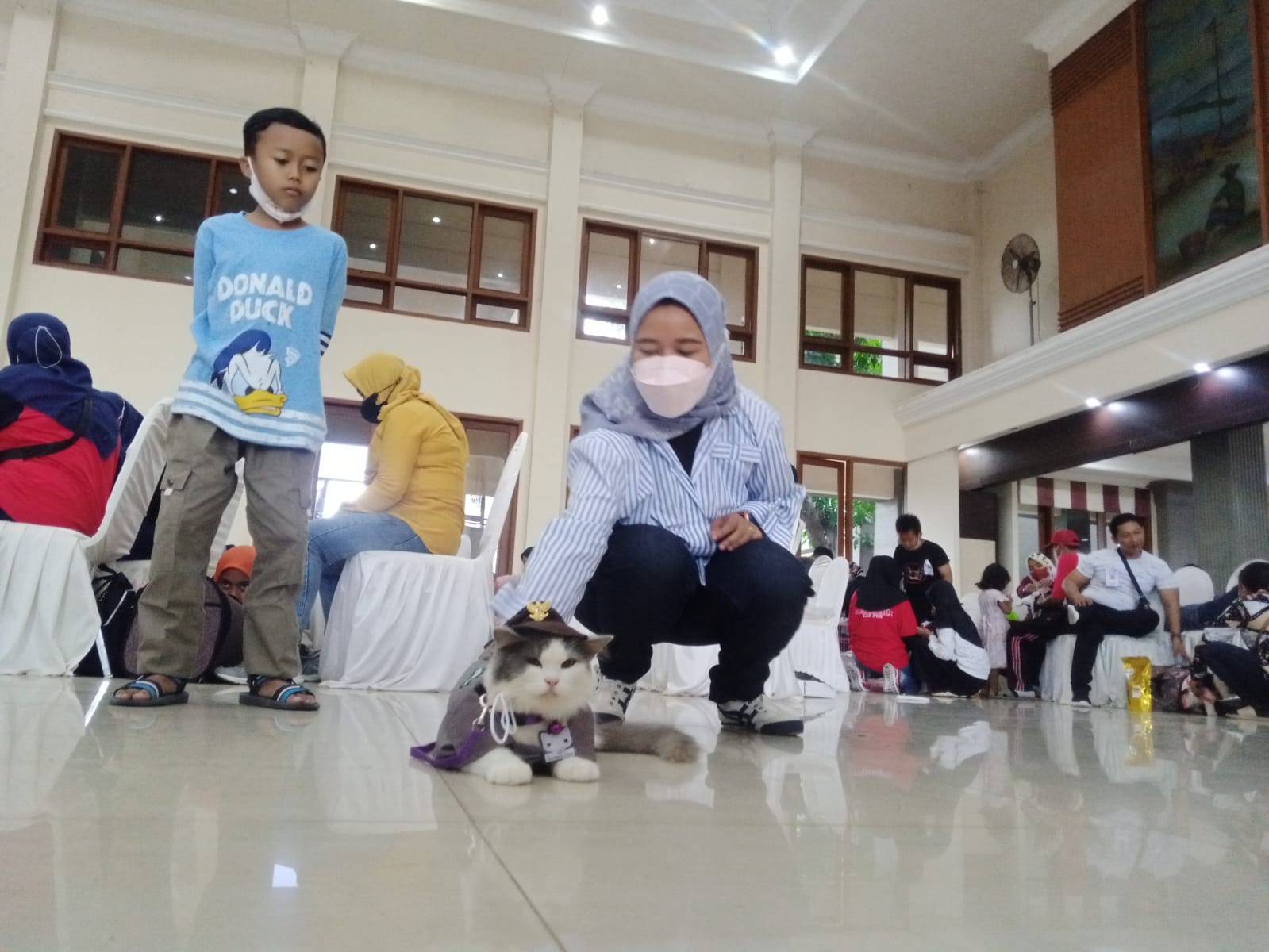 Salah satu kucing yang berbusana seperti aparatur ikut fashion show cat fun di Tuban.
