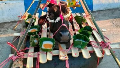 Tradisi Larung Kepala Sapi Petik Laut Asyura di Pesisir Pasuruan, Wujud Syukur Melimpahnya Tangkapan Ikan Ratusan Nelayan