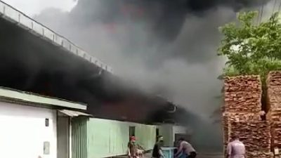 Karyawan Berhamburan, Kebakaran Pabrik Kayu PT Sakari Beji Pasuruan Hanguskan Alat Produksi