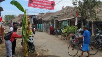 Kondisi jalan rusak ditanami pisang di Desa Kedungboto, Kecamatan Beji, Kabupaten Pasuruan.