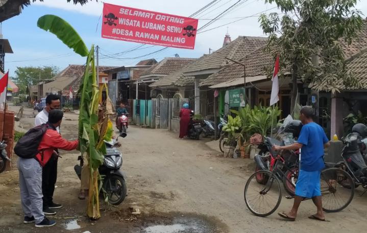 Kondisi jalan rusak ditanami pisang di Desa Kedungboto, Kecamatan Beji, Kabupaten Pasuruan.