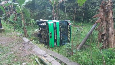 Diduga Tersesat, Rombongan Bus Siswa MTs Turen Malah Masuk Jurang di Wonosari Malang