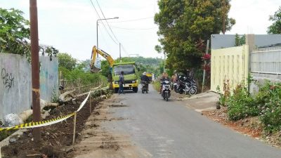64 Pohon Terdampak Pelebaran Jalan di Depan SMPN 7 Kota Batu, Pengembang Bakal Beri Kompensasi