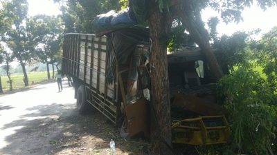 Diduga Sopir Ngantuk, Kecelakaan Truk Bikin Ringsek usai Tabrak Pohon di Jalur Lingkar Selatan Pasuruan