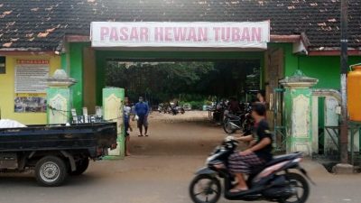 Pasar hewan Tuban. (Foto: Mochamad Abdurrochim/Tugu Jatim)