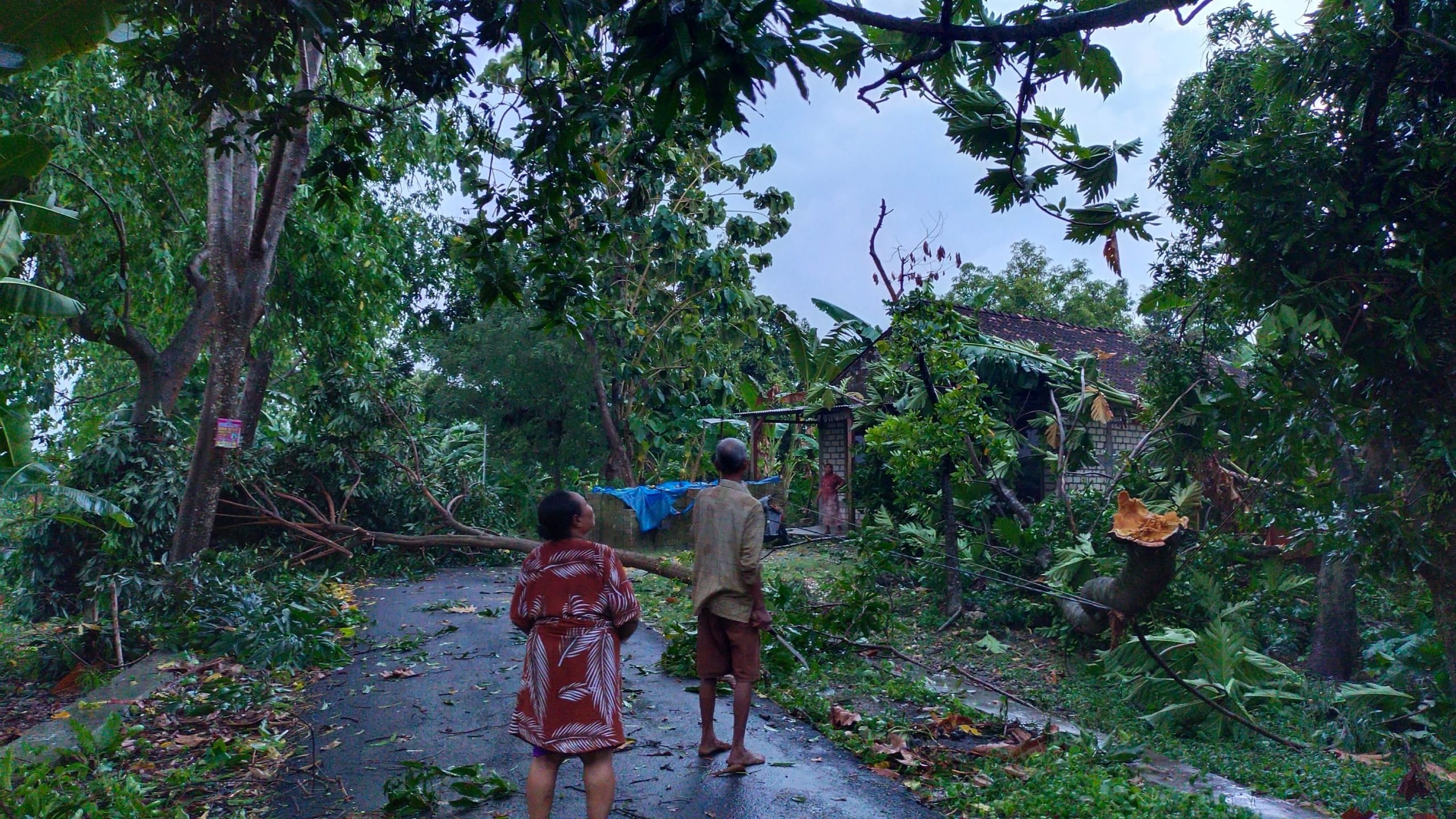 Angin puting beliung. (Foto: Dok. Relawan Bencana Kecamatan Rengel/Tugu Jatim)