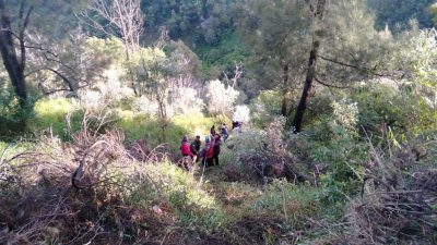 Wisatawan korban jeep. (Foto: Dok Polsek Tosari/Tugu Jatim)