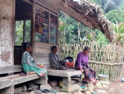 Warga Kampung Naga Tasikmalaya Pegang Falsafah Turun Temurun, Hidup Sederhana di Tengah Gempuran Budaya Asing