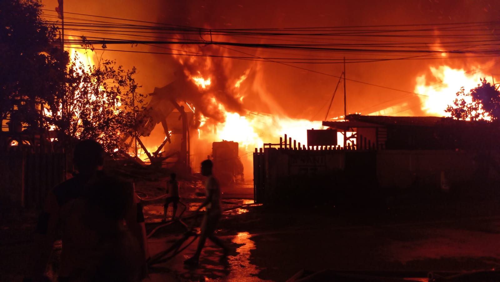 pabrik kayu tugu jatim