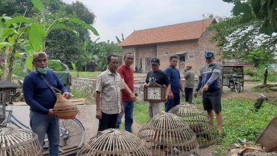 Judi sabung ayam. (Foto: dok. Polsek Gempol/Tugu Jatim)