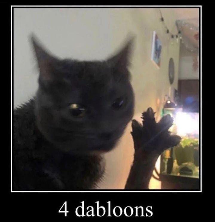 Kucing dabloons. (Foto: IG @brokencattos/Tugu Jatim)