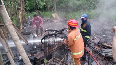 Dipicu Api Tungku, Kandang Ayam di Sukun Malang Ludes Terbakar hingga Rugi Rp20 Juta