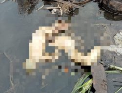 Penemuan Mayat Bayi Membusuk di Gondanglegi Malang, Hanya Tersisa Beberapa Potongan Tubuh