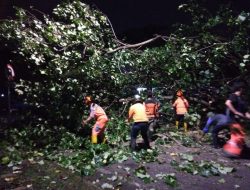 Kota Malang Dilanda Cuaca Ekstrem, 12 Wilayah Banjir dan 10 Pohon Tumbang, 1 Korban Tewas