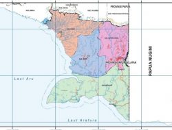 Jadi Provinsi Baru, Ini Profil Papua Selatan dan Gubernurnya
