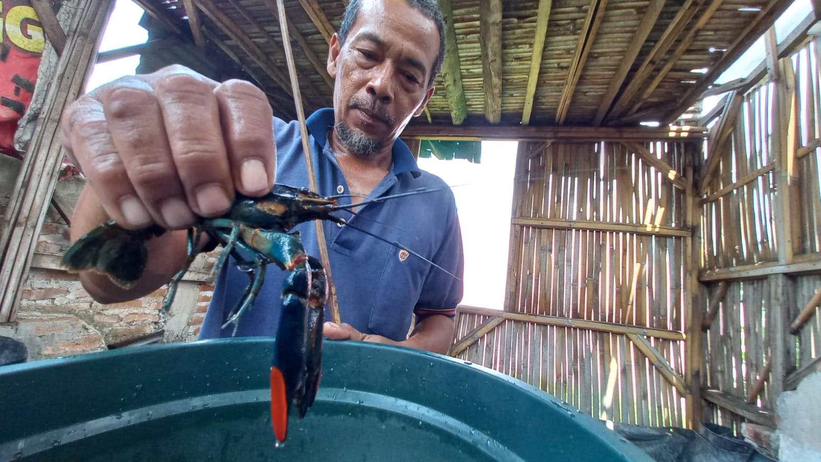 oseng lobster tugu jatim