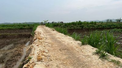 Dongkrak Pertumbuhan Ekonomi Bidang Pertanian, Pemkab Tuban Genjot Pembangunan Jalan Usaha Tani