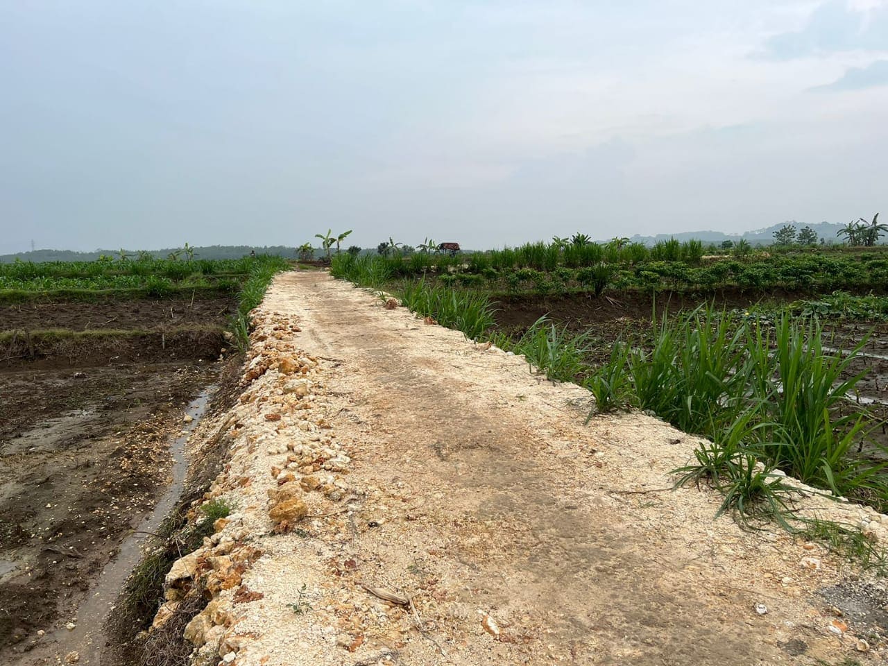 Tuban. (Foto: dok. Diskominfo Tuban/Tugu Jatim)