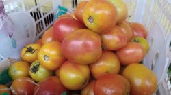 Harga Komoditas Bumbu Dapur di Pasar Tradisional Tuban Melambung, Tomat dan Kemiri Termahal
