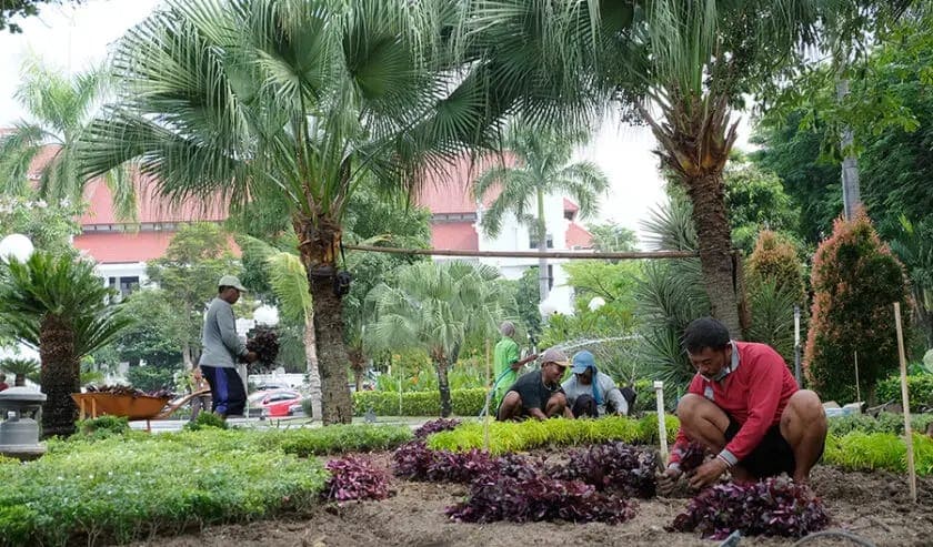 Taman Surya.