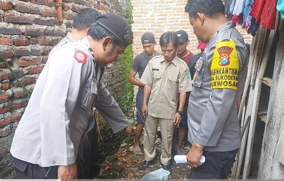 Pembuang mayat bayi.