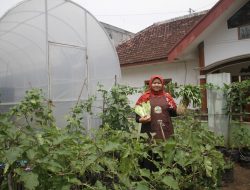 Kisah Diyah Rahmawati Bangkit Lawan Eklamsia Berkat Sayuran Organik