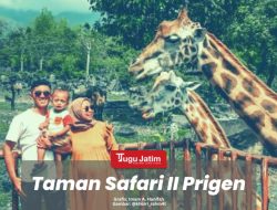 Taman Safari Prigen, Rekomendasi Destinasi Wisata Keluarga di Jawa Timur