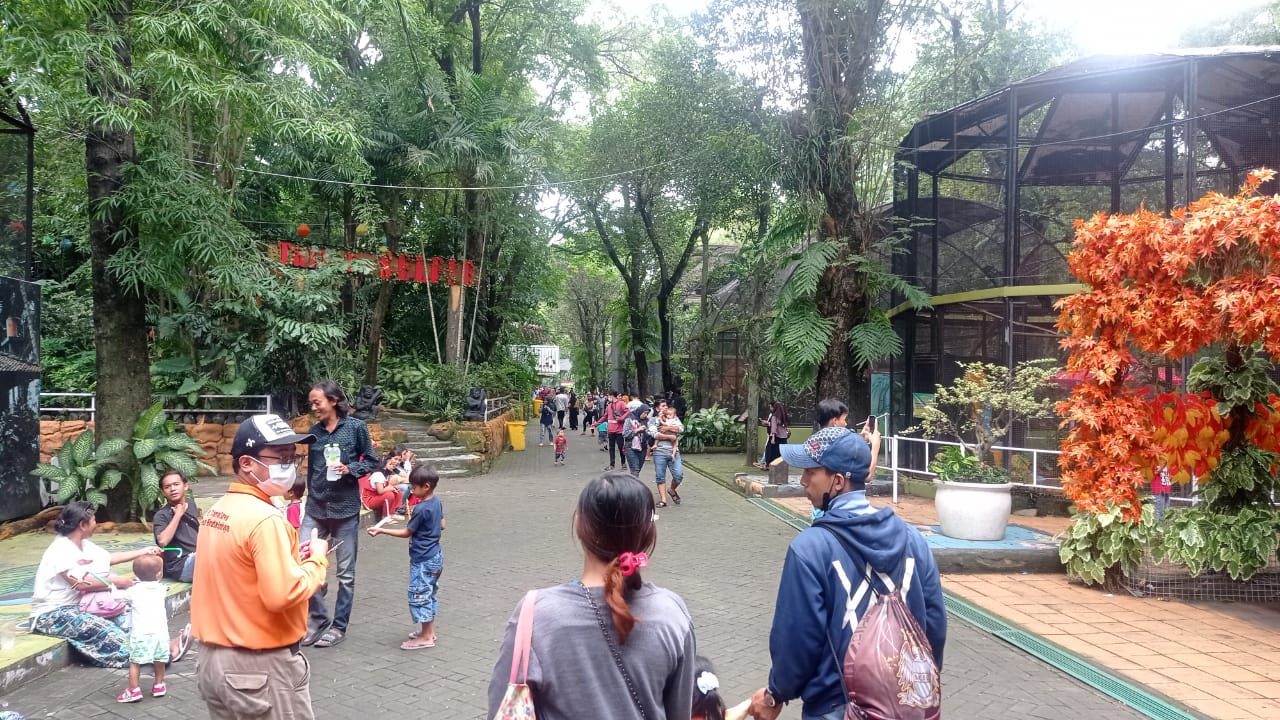 animal tugu jatim
