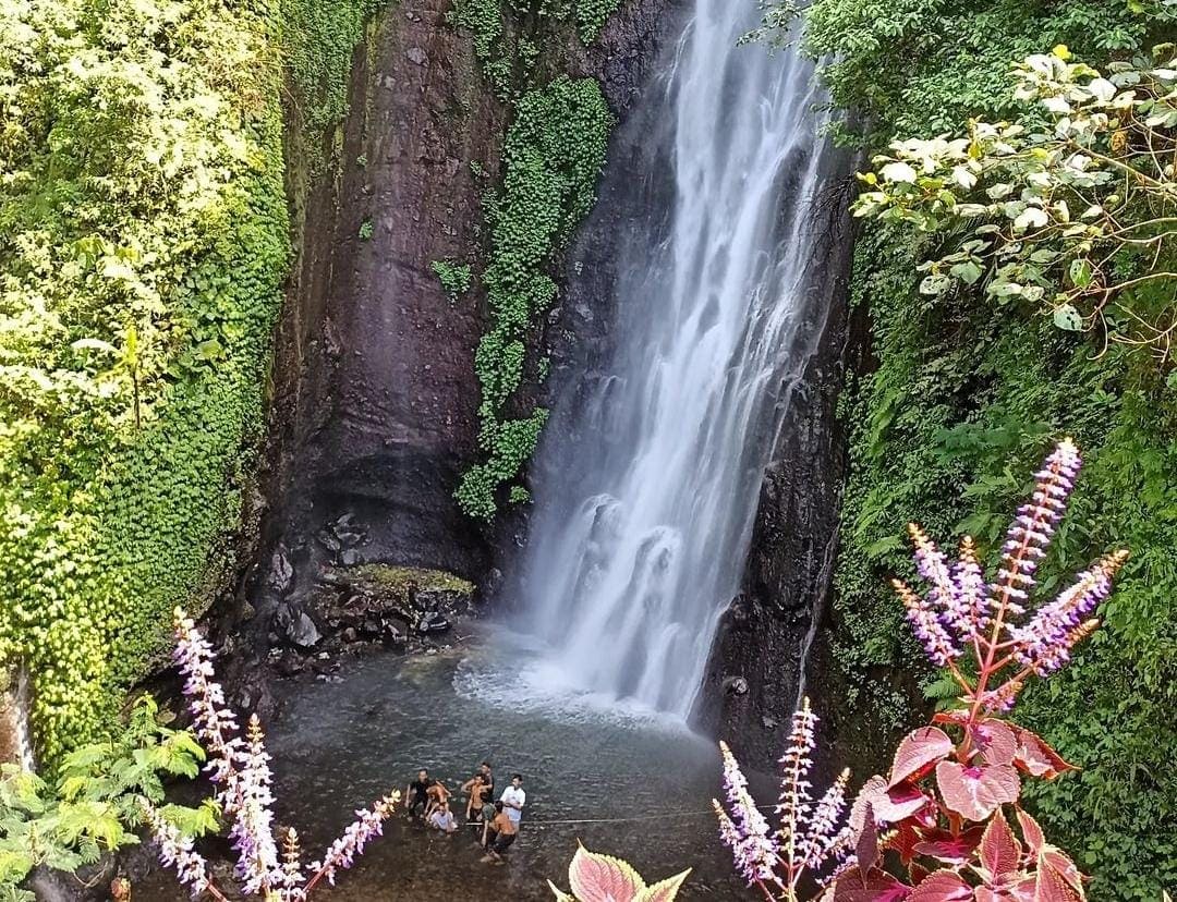 Wisata Prigen.