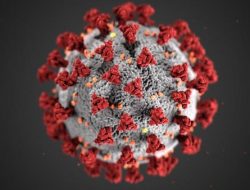 Viral! Tim Peneliti Eropa Temukan Virus Zombie yang Puluhan Ribu Tahun Terperangkap di Es Siberia