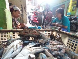 Penjualan Kepiting Pasuruan Laris Manis Jelang Imlek, Harga Naik Dua Kali Lipat