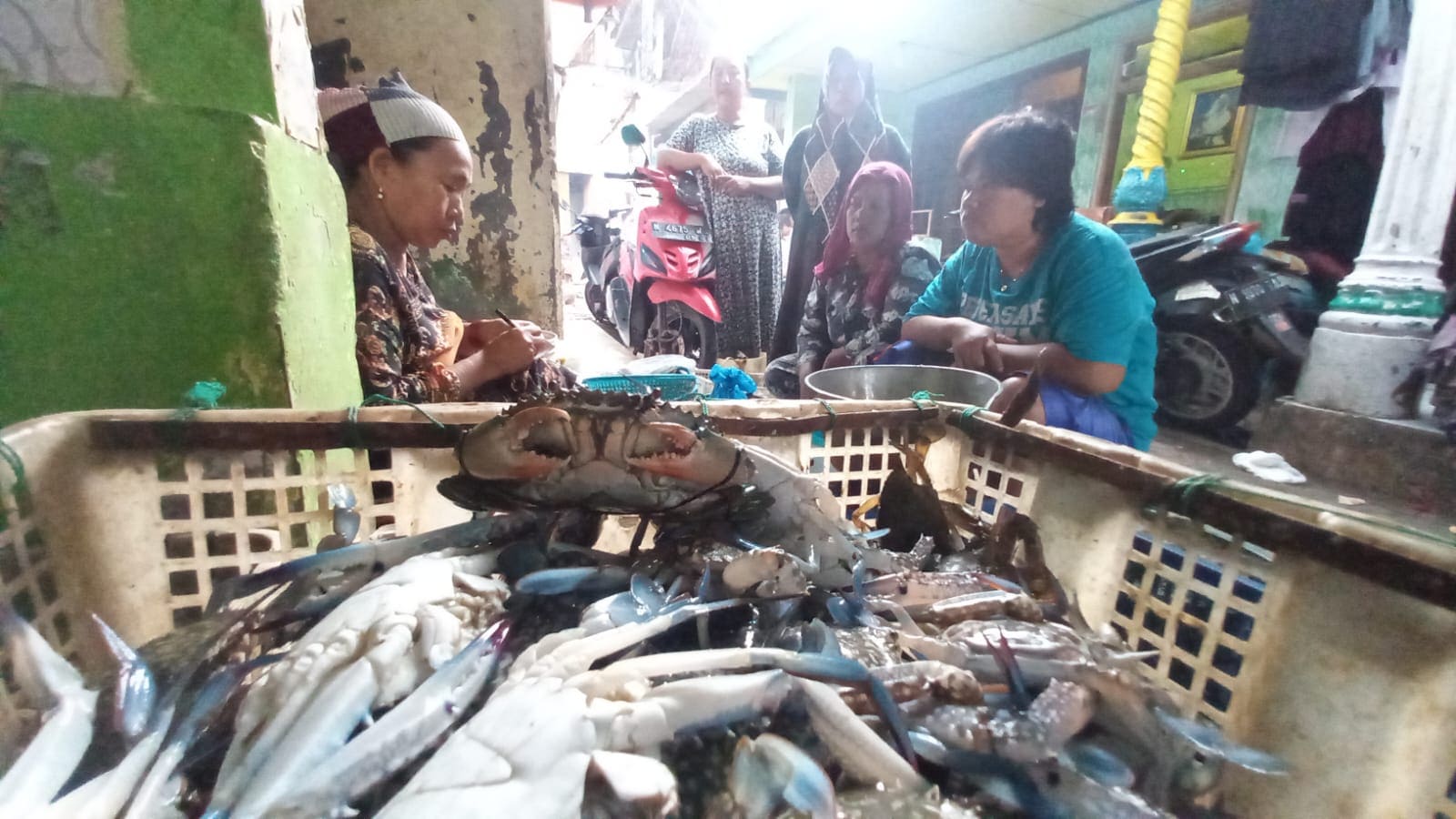 Penjualan kepiting Pasuruan.