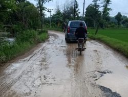 Jalan Penghubung Desa Rusak Diguyur Hujan, Warga Tambakboyo Tuban Mengeluh