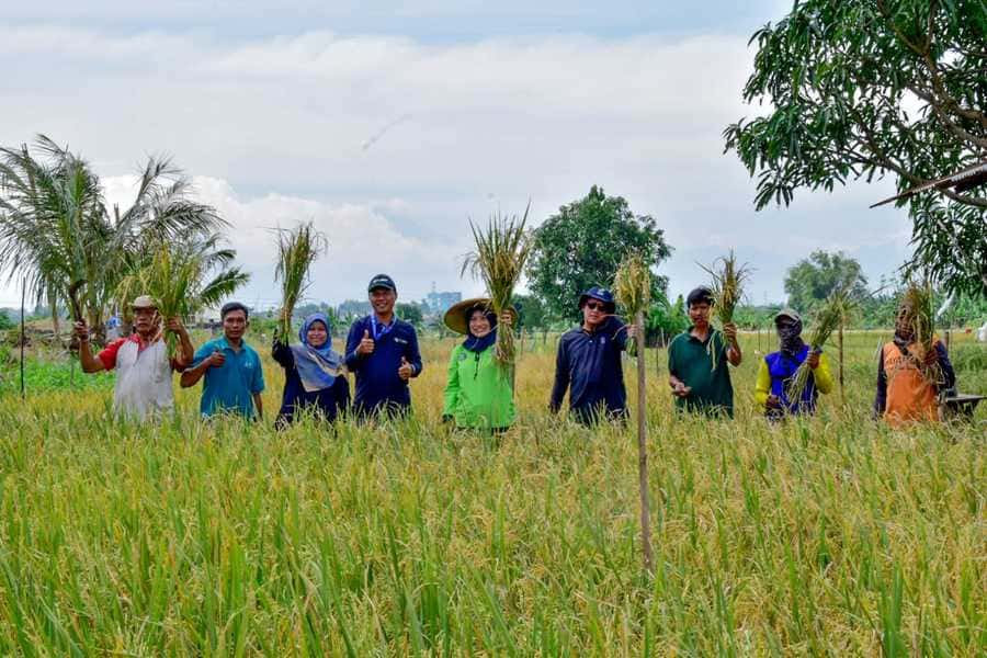 Petani Surabaya.