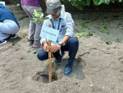 Peduli Lingkungan, PT Pegadaian Tanam Mangrove di Pesisir Pantai Bangsring Banyuwangi