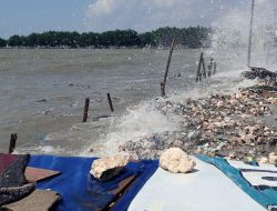 BMKG Prediksi Tak Akan Ada Banjir Rob di Perairan Tuban