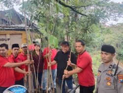 PDIP Kota Malang Tanam 500 Bibit Pohon dan Bersihkan Daerah Aliran Sungai Brantas
