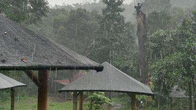 Prakiraan Cuaca BMKG, Waspada Bencana Akibat Hujan Lebat di Wilayah Jatim