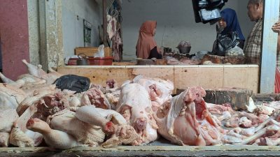 Harga daging ayam.