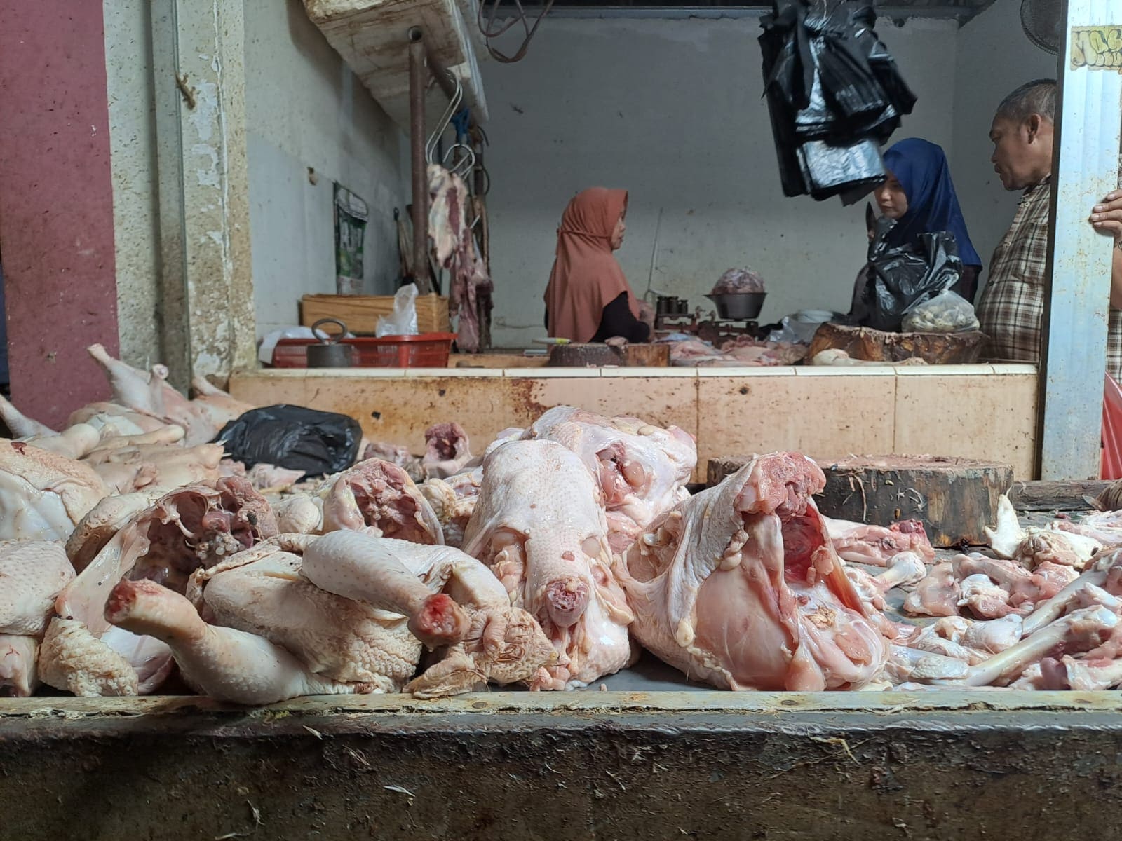 Harga daging ayam.