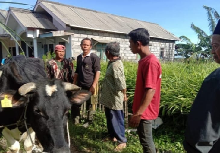Kasus Pencurian Sapi di Pasuruan Mulai Terungkap: 1 Orang Ditangkap, 6 Buron