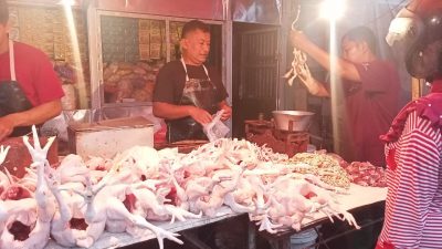 Harga daging ayam.