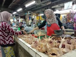 Harga Daging Ayam Naik, Harga Daging Sapi di Surabaya Terpantau Stabil