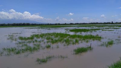 mojokerto tugu jatim