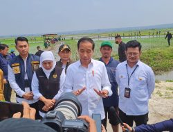 Jokowi Beberkan Alasan Impor 2 Juta Ton Beras
