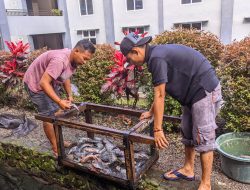 Ajarkan Santri Mandiri, Ponpes Rijan Pacet Mojokerto Kelola Budi Daya Ikan Air Tawar