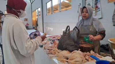 harga daging ayam tugu jatim