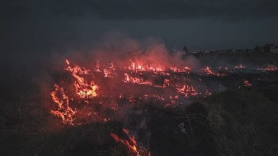 Prediksi Musim Kemarau Mojokerto Lebih Panjang, Waspada Kebakaran Hutan hingga Kekeringan